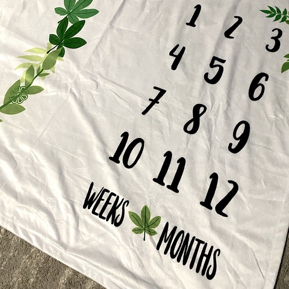 Double Sided Baby Monthly Milestone Blanket Fleece - Picture 2 of 4